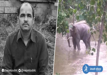 जगंली हात्तीको आक्रमणबाट बारामा व्यवसायीकाे मृत्यु